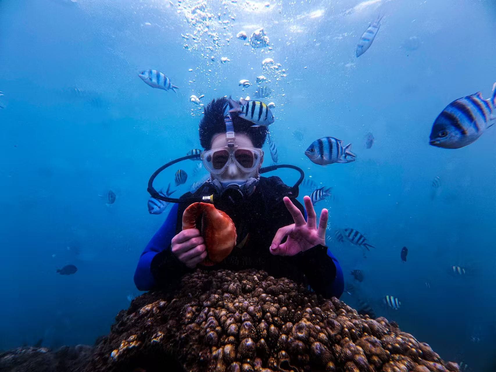 Life frame 11